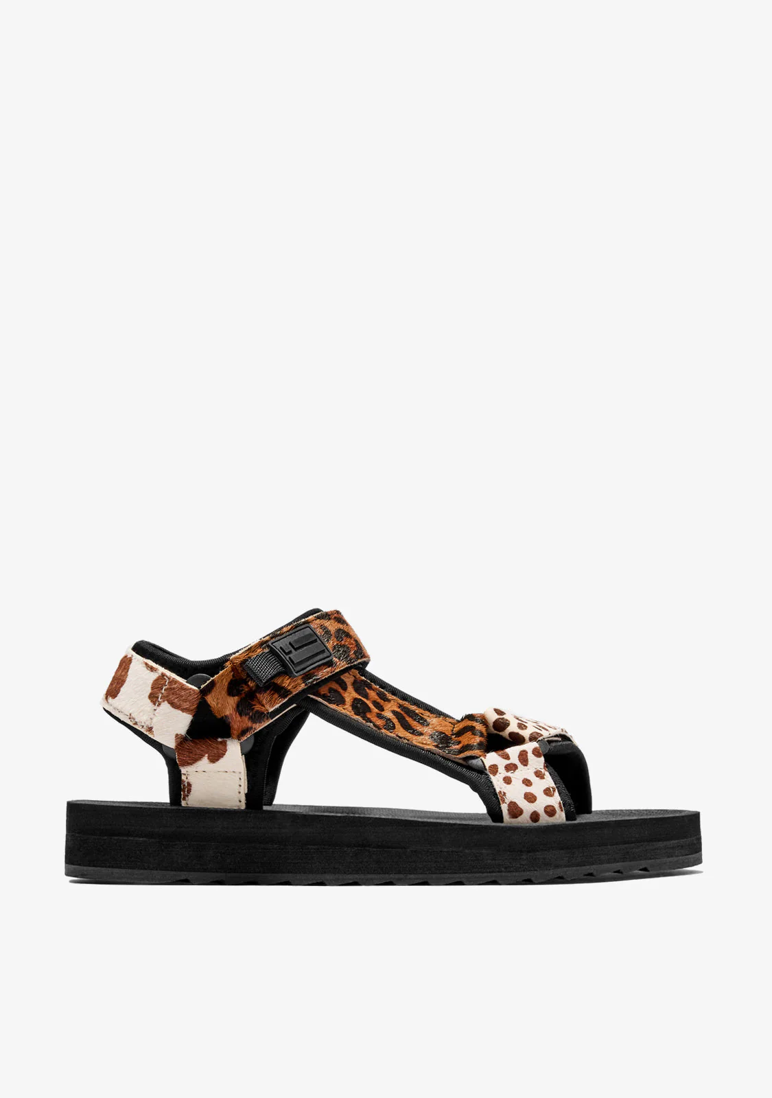 Forest Animal Multi